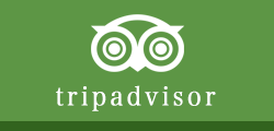 TripAdvisor