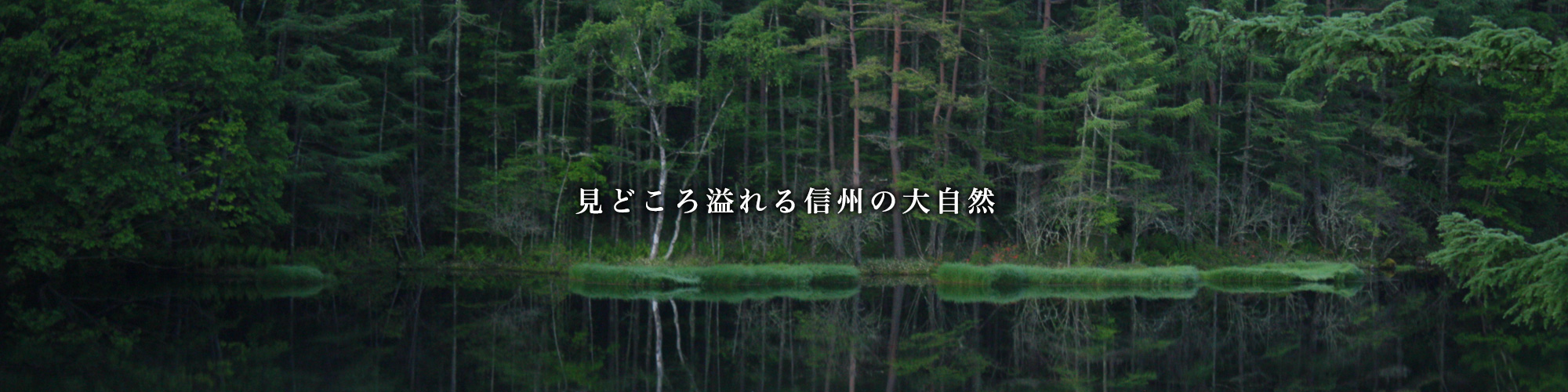 見どころ溢れる信州の大自然