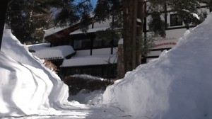 蓼科　大雪